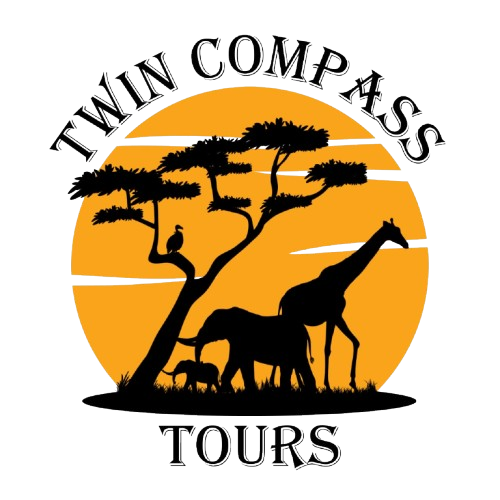 Twin Compass Tours